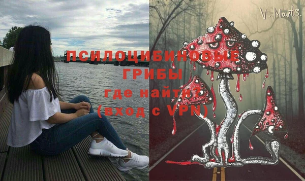 крисы Алексин