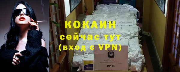 крисы Алексин