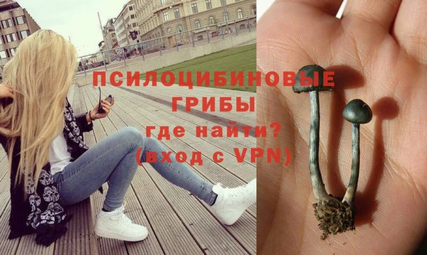 крисы Алексин