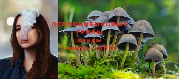 крисы Алексин