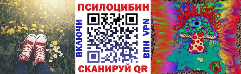 Псилоцибиновые грибы мухоморы  МЕГА ссылка  Тырныауз  даркнет сайт 